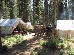Silver Spur Outfitters - 1:1 Fully Guided Elk/Bear Bow Hunt - ABO Outfitters