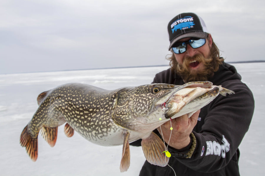 Big Tooth Zero Fluoro Rig, Size 2, (Red) - ABO Outfitters