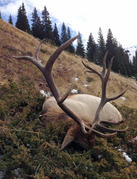 Capitol Peak Outfitters - Drop Camp Hunt - ABO Outfitters