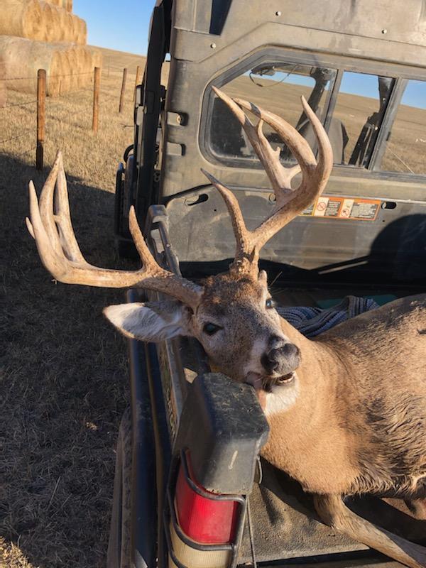 Bad River Bucks and Birds - Any Deer Archery Hunt (4day, 5night, All-inclusive) - ABO Outfitters