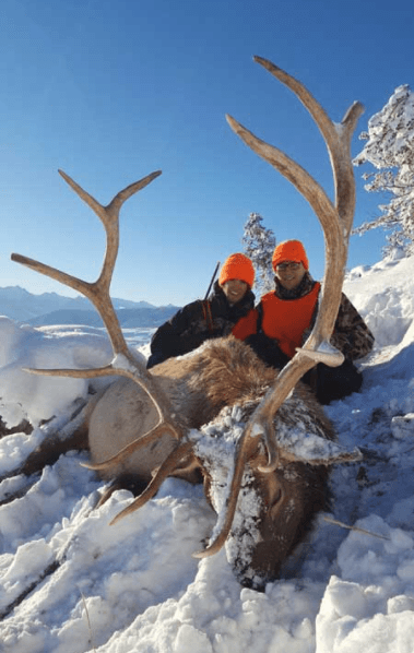 Lone Wolf Guide Services - Guided Elk Hunt (5day) - ABO Outfitters