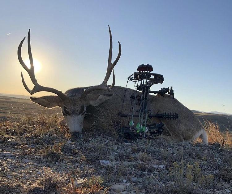 Bloody Creek Outfitters - DIY Deer Bow Hunt - ABO Outfitters